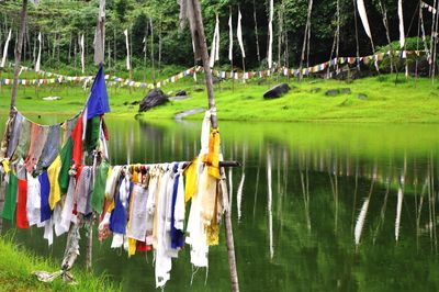 Clothes drying on clothesline by lake in forest