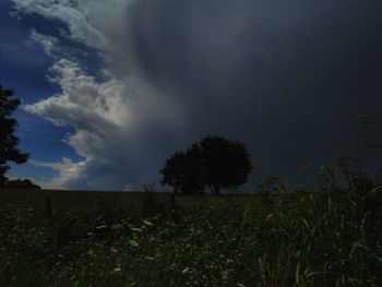 Trees on field against storm clouds