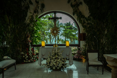 Potted plants on table by empty chairs