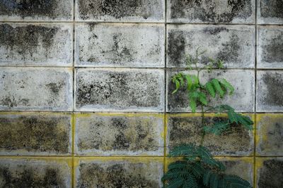 Full frame shot of concrete wall