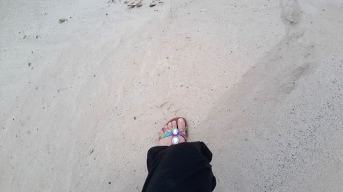 Low section of woman wearing sandal at beach