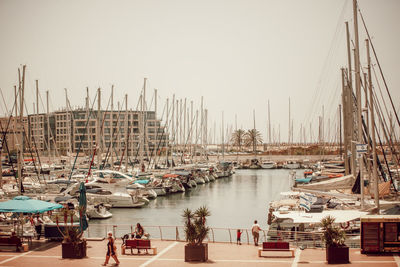 Sailboats moored in harbor against clear sky