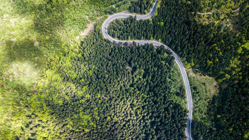 Aerial view of road amidst forest