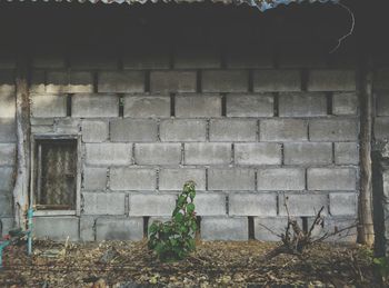 View of brick wall