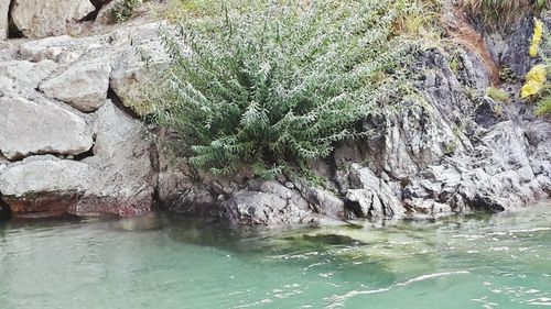 Rock formations in sea