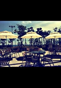 View of trees against sky