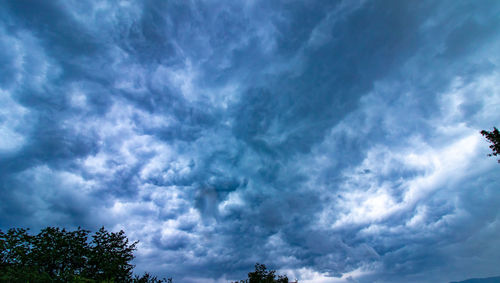 Low angle view of trees against cloudy sky