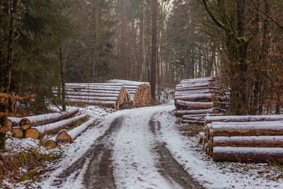 Snow covered road amidst trees in forest