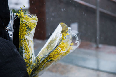 Close-up of yellow flower in rain