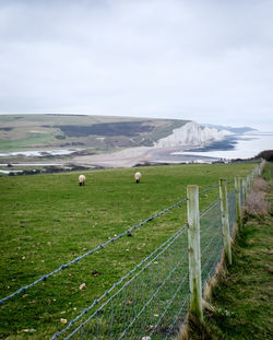 Scenic view of field against sky