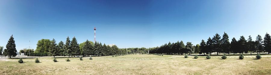 Panoramic shot of trees on field against clear blue sky
