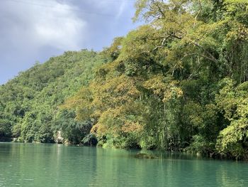 Scenic view of lake by trees against sky