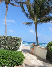 Palm trees by beach against sky