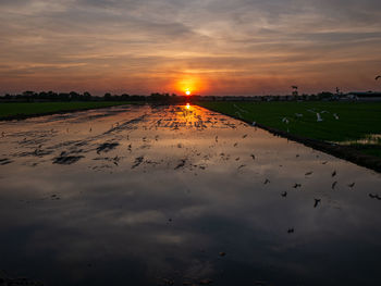 Photos of twilight time at rice field sam khok pathum thani province thailand.