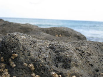 Close-up of sand on beach against sky