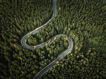 Aerial view of curved road from above trough the evergreen forest.travel, transportation concept