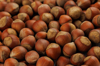 Pile of hazelnuts with shells full frame close-up background