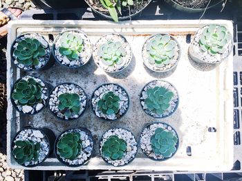 Close-up of ornate wall