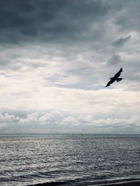 Seagull flying over sea against sky