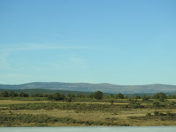Scenic view of landscape against clear blue sky