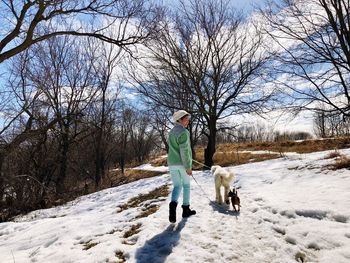 Woman walking with dogs on snow covered field against bare trees