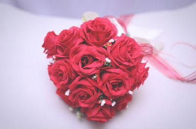 Close-up of red roses against white background