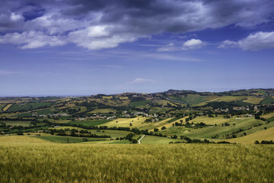 Scenic view of agricultural field against sky