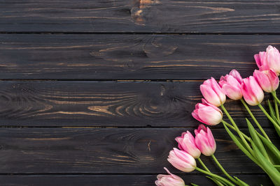 Close-up of pink tulips on wooden table