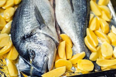 High angle view of fish for sale at market