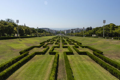 Beautiful view to green area in eduardo vii park