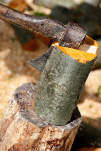 Close-up of rusty tree stump