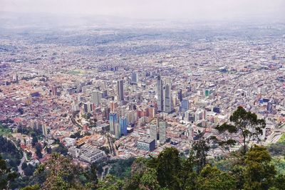 High angle view of tree and buildings in city bogota 