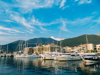 Sailboats moored in harbor against sky