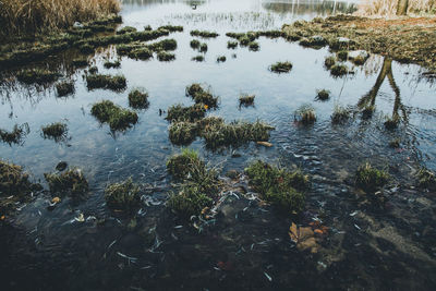 Scenic view of lake