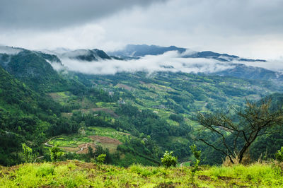 Scenic view of landscape against sky