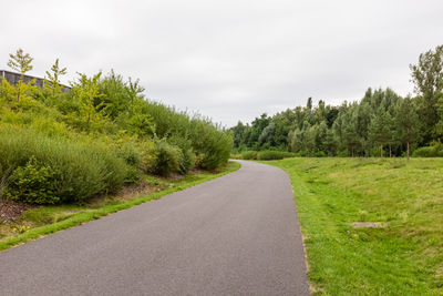 Road amidst trees against sky