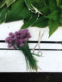Close-up of purple flower
