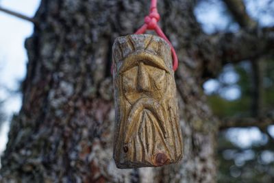Low angle view of decoration hanging on tree trunk