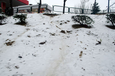 Snow covered landscape