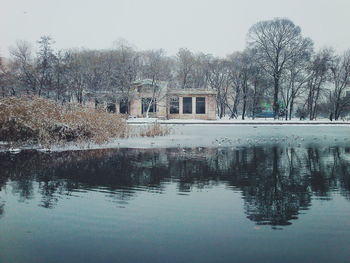 Reflection of trees in water
