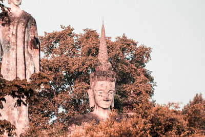 View of buddha statue against trees
