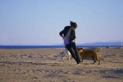 View of dog on beach