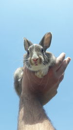 Low angle view of female against clear blue sky