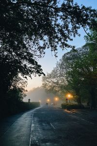 Street amidst trees against sky in city