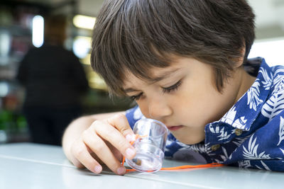 Close-up of boy looking in container