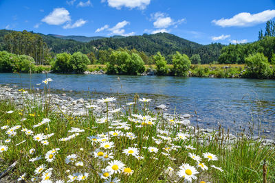 Scenic view of lake by mountains against sky