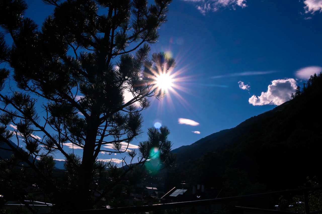 sun, tree, lens flare, sunbeam, nature, sky, sunlight, outdoors, beauty in nature, no people, scenics, mountain, day