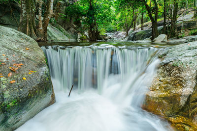 Scenic view of waterfall in forest