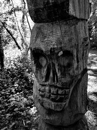 Close-up of carving on tree trunk