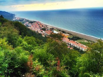 High angle view of trees by sea